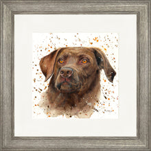 Load image into Gallery viewer, Cooper