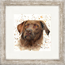 Load image into Gallery viewer, Cooper