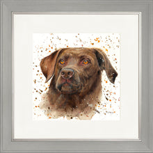Load image into Gallery viewer, Cooper