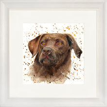 Load image into Gallery viewer, Cooper