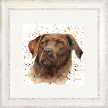 Load image into Gallery viewer, Cooper