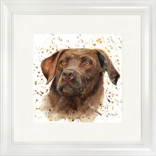 Load image into Gallery viewer, Cooper