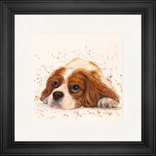 Load image into Gallery viewer, Kendall
