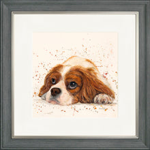 Load image into Gallery viewer, Kendall