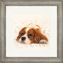 Load image into Gallery viewer, Kendall