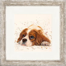 Load image into Gallery viewer, Kendall