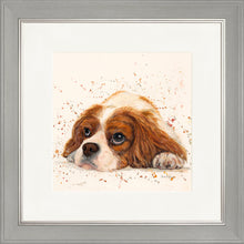 Load image into Gallery viewer, Kendall