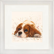 Load image into Gallery viewer, Kendall