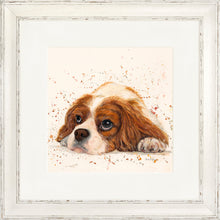 Load image into Gallery viewer, Kendall