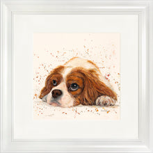 Load image into Gallery viewer, Kendall