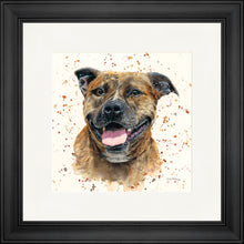Load image into Gallery viewer, Scout