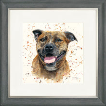Load image into Gallery viewer, Scout