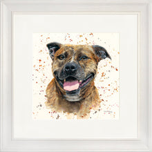 Load image into Gallery viewer, Scout