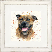Load image into Gallery viewer, Scout
