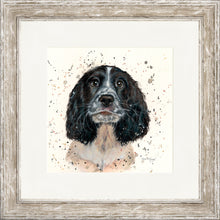 Load image into Gallery viewer, Steel