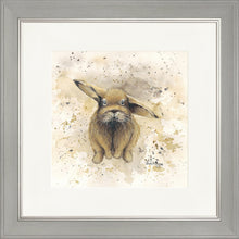 Load image into Gallery viewer, Colourful Benji
