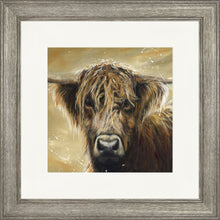 Load image into Gallery viewer, Colourful Hamish