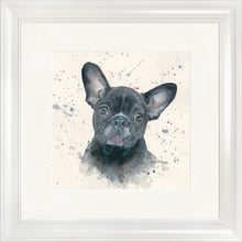 Load image into Gallery viewer, Fifi