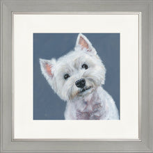 Load image into Gallery viewer, Finley