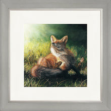 Load image into Gallery viewer, Finn