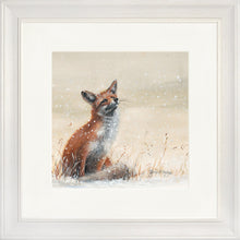 Load image into Gallery viewer, Foy