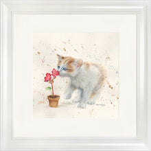 Load image into Gallery viewer, Fizz