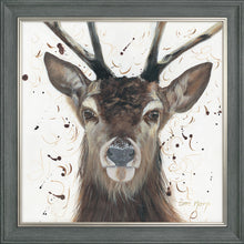 Load image into Gallery viewer, Samson