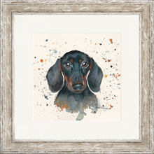 Load image into Gallery viewer, Sid