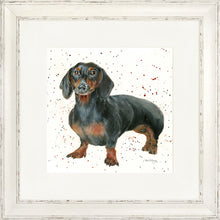 Load image into Gallery viewer, Dora
