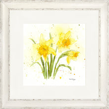 Load image into Gallery viewer, Daffodils