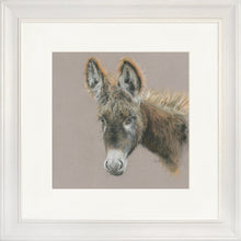 Load image into Gallery viewer, Dolores