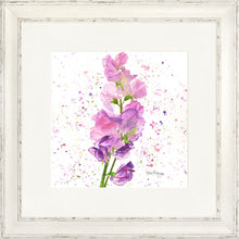 Load image into Gallery viewer, Sweet Peas