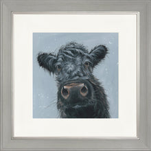 Load image into Gallery viewer, Madge