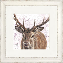 Load image into Gallery viewer, Sargent