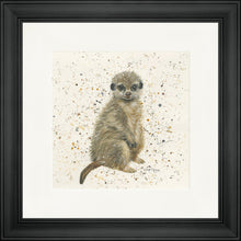 Load image into Gallery viewer, Marcus