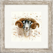 Load image into Gallery viewer, Sherman
