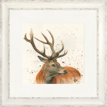 Load image into Gallery viewer, Sutherland