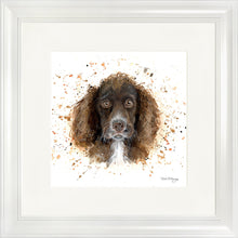 Load image into Gallery viewer, Coco