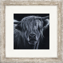 Load image into Gallery viewer, Hugo