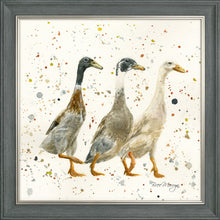 Load image into Gallery viewer, The Three Duckgrees
