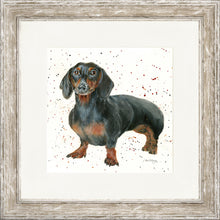 Load image into Gallery viewer, Dora