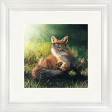 Load image into Gallery viewer, Finn