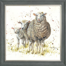 Load image into Gallery viewer, I Can See Ewe