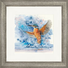 Load image into Gallery viewer, Colourful Kingfisher