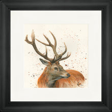 Load image into Gallery viewer, Sutherland