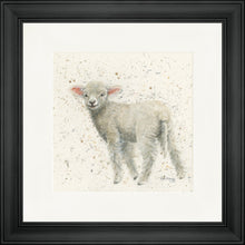 Load image into Gallery viewer, Lucy