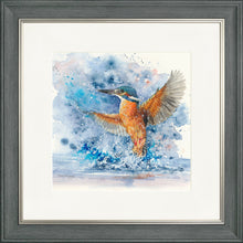 Load image into Gallery viewer, Colourful Kingfisher