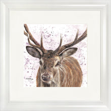 Load image into Gallery viewer, Sargent