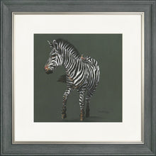 Load image into Gallery viewer, Zoe Grey