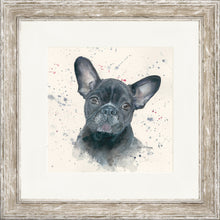 Load image into Gallery viewer, Fifi